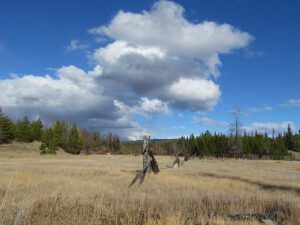 c fence and cloud (A taste of winter at Ginty Creek)