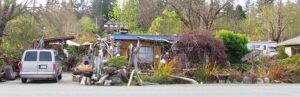 From road (Courtenay book reading)