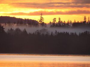 e mist and sunrise (Staying at Union Bay)