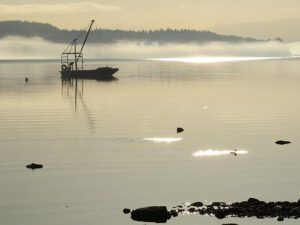 fishboat (Staying at Union Bay)