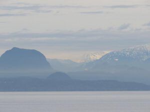 from ferry today (Before I leave Union Bay)