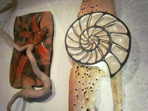 nautilus (Courtenay book reading)