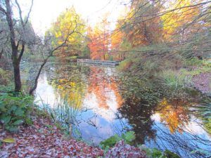 vandusen (The Lower Mainland)