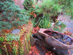 yard (Courtenay book reading)