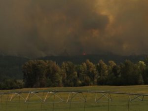 2 downtown KK (Newsletters)