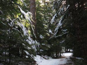 8 Stuie driveway (Festivals of the Season)