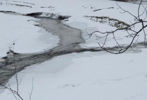 9 Dec  12  river (Approaching the Solstice at Ginty Creek)