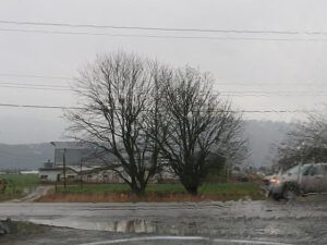 a rain lower mainland (Going Home!)