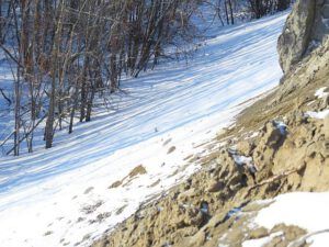 b diagonal shadows (Approaching the Solstice at Ginty Creek)