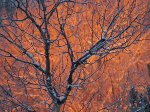 early sun 2 (It’s good to be home!)