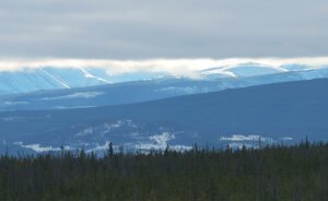 g fog lid (Approaching the Solstice at Ginty Creek)