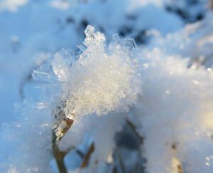 ice crystals (It’s good to be home!)