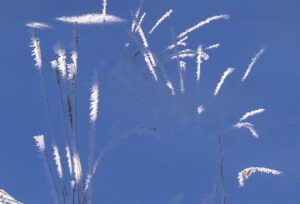 4 bits of grass lit (Flowers of Ice)