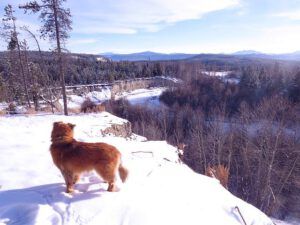 7 Harry on bluff (Flowers of Ice)