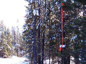 8 Dillon’s message (A Little Snow)