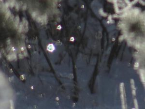 8 crystals in air (Flowers of Ice)