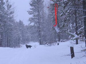 9 my message (A Little Snow)