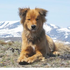 harry high resolution (harry)