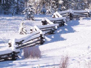 snake fence (A Run to Anahim Lake)