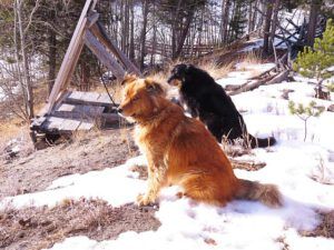 2 bare ground (First Shopping Trip of the Year)