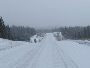 4 winter driving (First Shopping Trip of the Year)