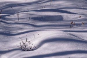 6 shadows (Another Post of Bits and Pieces.)