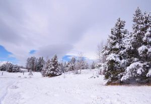 d snow clearing (Something we haven’t seen much of this winter.)