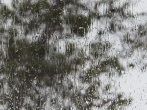 1. Rain! (Three Seasons in One Week)