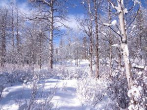 11b.  Hike (Three Seasons in One Week)