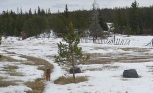 3. Meadow half thawed (Three Seasons in One Week)