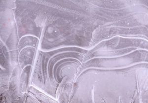 5. puddle ice (Three Seasons in One Week)