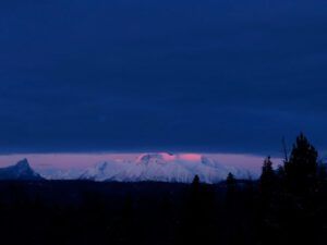 a sunrise under fog lid (A Sudden Burst of Spring)