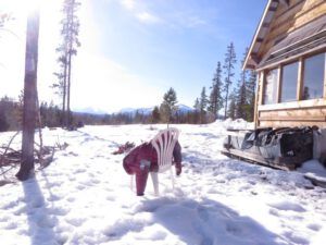 e chair in sun (A Sudden Burst of Spring)