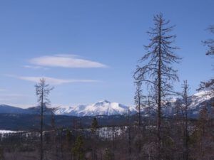 i trees and Middl Mt (A Sudden Burst of Spring)