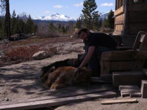 9. Nico (Scrambling Into April)