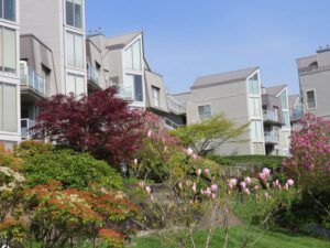 f Doreen’s condo (Vancouver, BC)