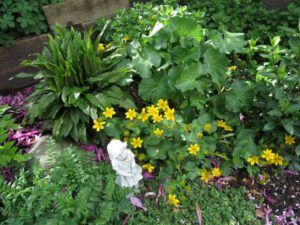 i shared garden (Vancouver, BC)