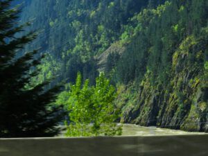 4. canyon (Going Home!)