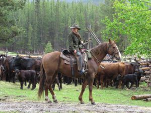 aileen (The 2013 Precipice Cattle Drive.)