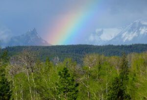 rainbow (Spring!)