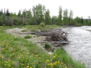 1 river (Meanwhile, Back at the Ranch….)