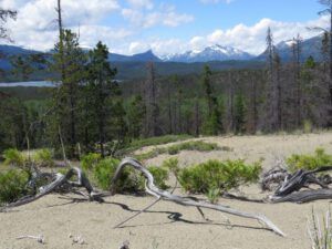 10 view from dunes (Meanwhile, Back at the Ranch….)