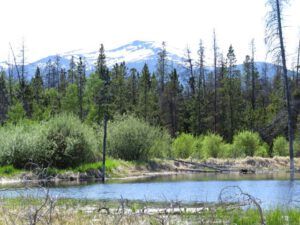 k uppper pond (June!)