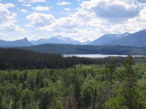 1. summer (More dry-land flowers at Ginty Creek)