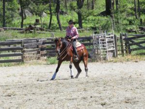 6. reining displayIMG_3372 (Alexis Creek Daze)