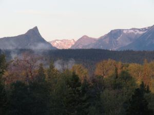 8. yet another scorcher. (Late July Heatwave at Ginty Creek)
