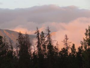 1 (And So The Seasons Turn)