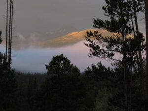 2 (And So The Seasons Turn)