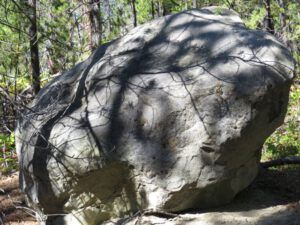 2. shadows on rock (The Falls on the Klinaklini River)