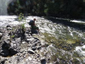 5. the river (The Falls on the Klinaklini River)